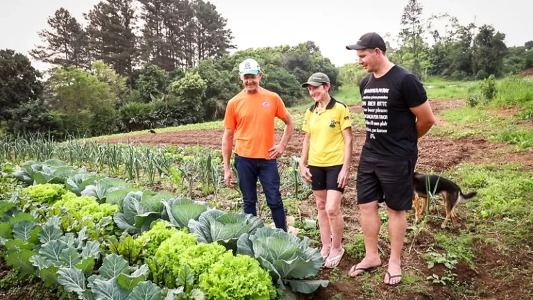 Solidariedade no campo: como agricultores estão superando as enchentes no Rio Grande do Sul