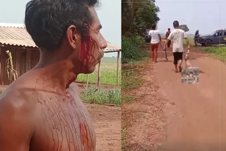Avá-Guarani Indigenous people are a target of violent attacks in southern Brazil