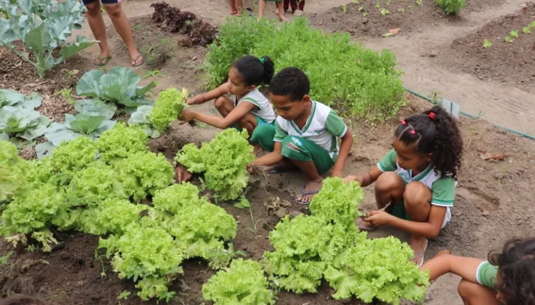 Projeto no Senado coloca em risco pontos centrais do Programa Nacional de Alimentação Escolar