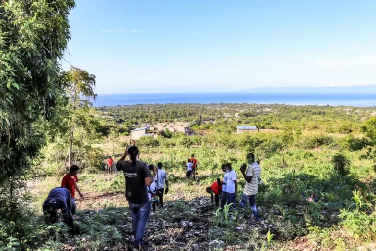 O povo haitiano tem que se organizar para receber solidariedade entre povos, diz sociológa