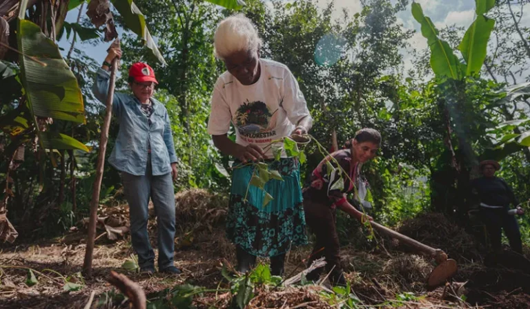 Agroecologia feminista para enfrentar os incêndios criminosos no Brasil 