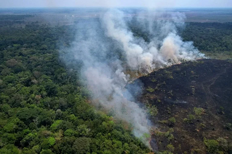 STF dá prazo de 30 dias para conclusão de planos contra queimadas