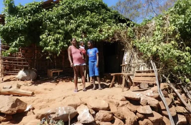 Maternidade Quilombola: entre ancestralidades e desafios racistas no Brasil