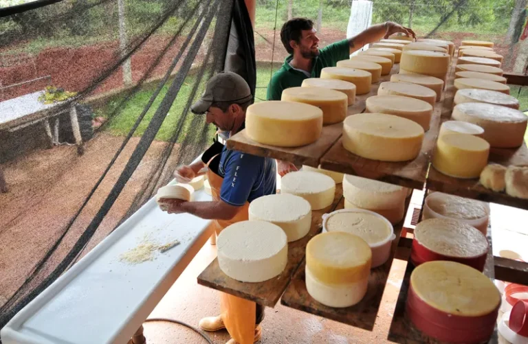 Modo de preparo do Queijo Minas é reconhecido pela Unesco como patrimônio da humanidade