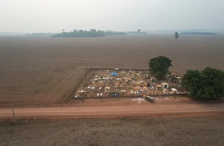PL 2159/2021 é a morte dos nossos territórios ancestrais, por Célia Xakriabá