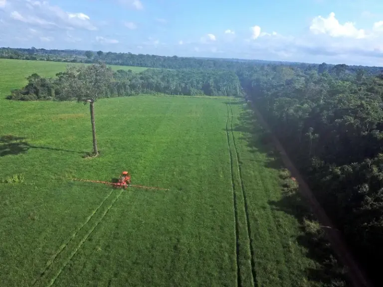Agrotóxicos afetam mais de 17 mil famílias no Brasil: saiba como denunciar as intoxicações 