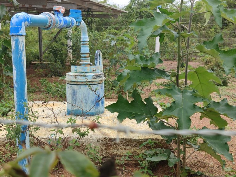 Chapada do Araripe: avanço de monoculturas é visto como ameaça à ‘caixa d’água do Sertão'