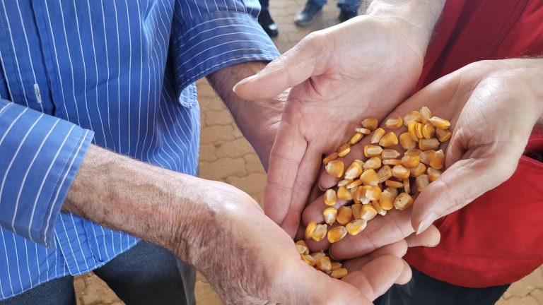 Missão Sementes de Solidariedade: quando muita gente pequena se reúne, grandes ações se tornam possíveis 