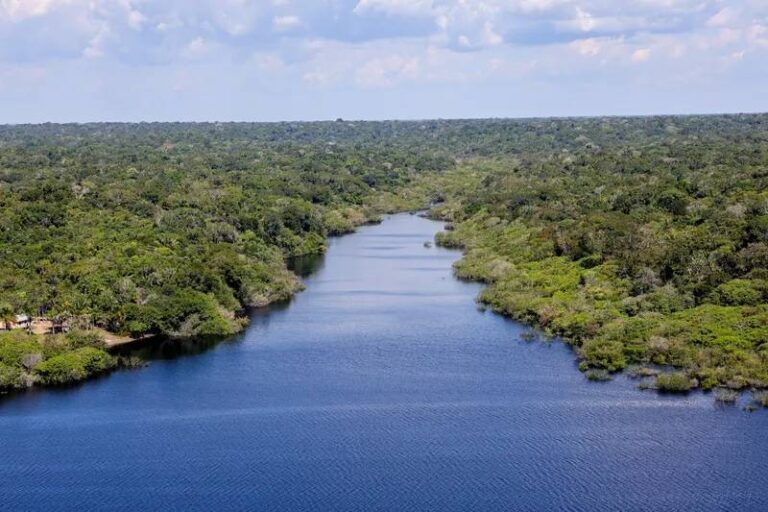 Brasil anuncia entrada em fórum da Opep+ e Ipam diz que medida ‘mancha reputação’ às vésperas da COP30