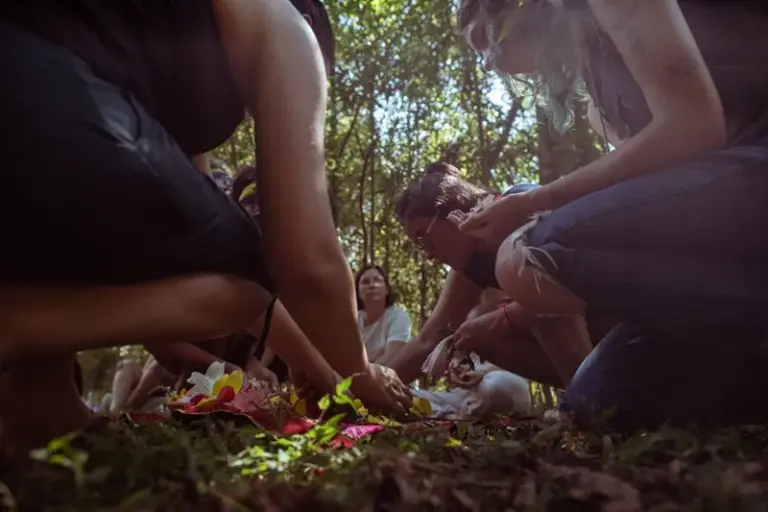 Formação em agrofloresta reúne mulheres em Morungava
