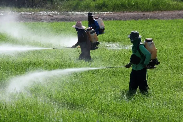  'Agrotóxicos foram feitos para matar', diz pesquisadora da Fiocruz
