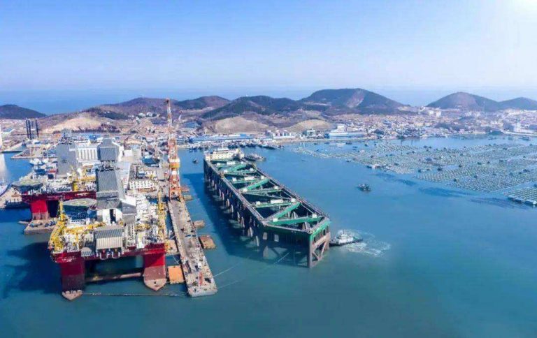Chinese companies focus on partnerships in agriculture and energy in Brazil