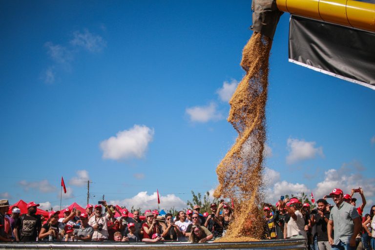 Governo projeta aumento da safra de arroz e feijão; expansão de área plantada ainda é desafio