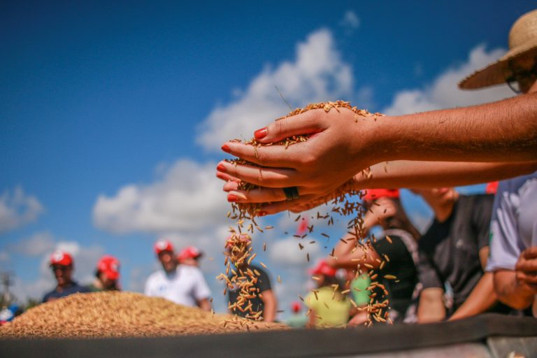 Conflito agrário só se resolve quando trabalhador conquista direito à terra, diz Claudia Dadico