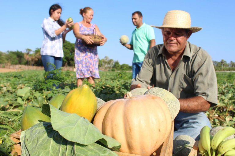 Mais de R$ 66,8 milhões serão investidos em segurança alimentar, acesso à água e fomento rural
