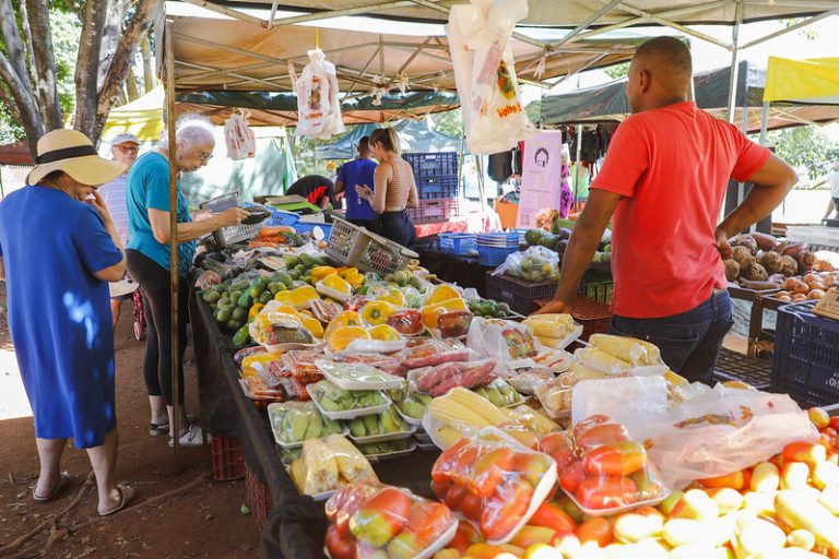 Não à privatização das feiras no DF