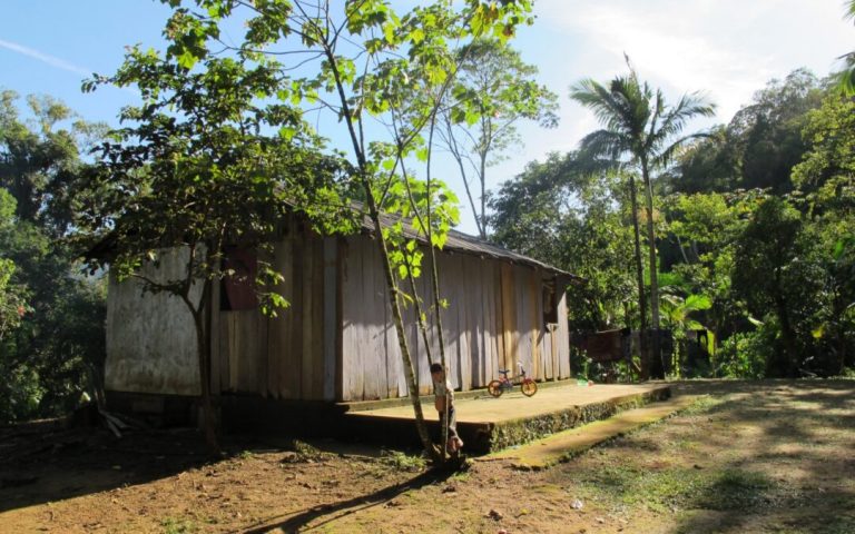 Povo Guarani denunciam perseguição e negação de direitos no litoral do Paraná