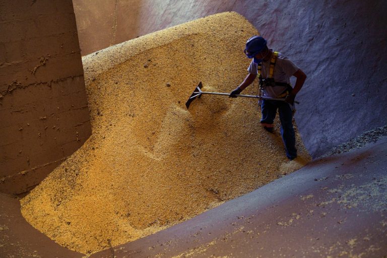 US-China tariff spat could raise Brazil deforestation risk