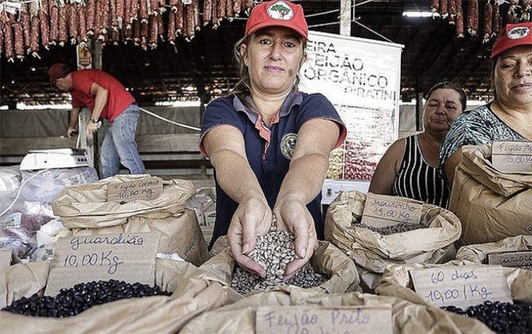 Arroz, feijão e revolução: confira os preparativos para a Feira da Reforma Agrária do MST