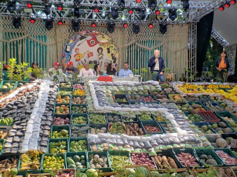 Com 500 toneladas de alimentos, feira do MST debate direito à terra e homenageia papa Francisco
