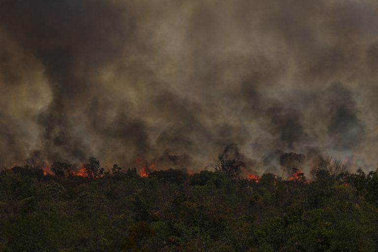 Países ricos falham em apresentar metas climáticas e agravam crise ambiental, alerta ClimaInfo