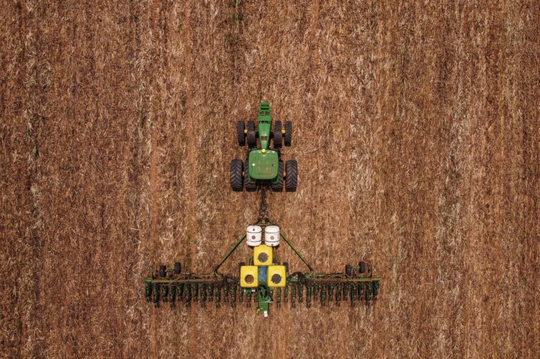 Desmatamento cai em todos os biomas; Amazônia tem redução recorde e Cerrado lidera devastação