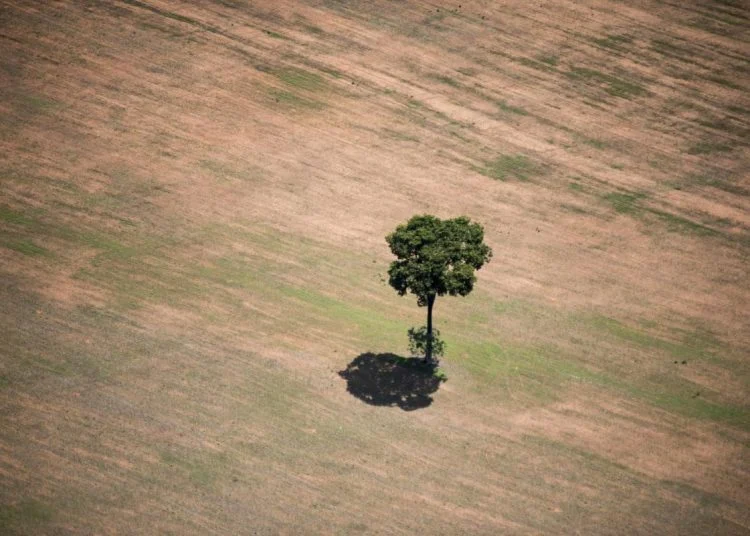 Senado Federal aprovou, nessa quarta-feira (21), o Projeto de Lei (PL) que flexibiliza os procedimentos para licenciamento ambiental no Brasil
