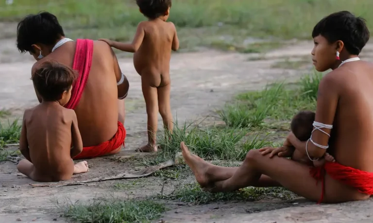 Deaths in indigenous Yanomami territory down 21% in 2024
