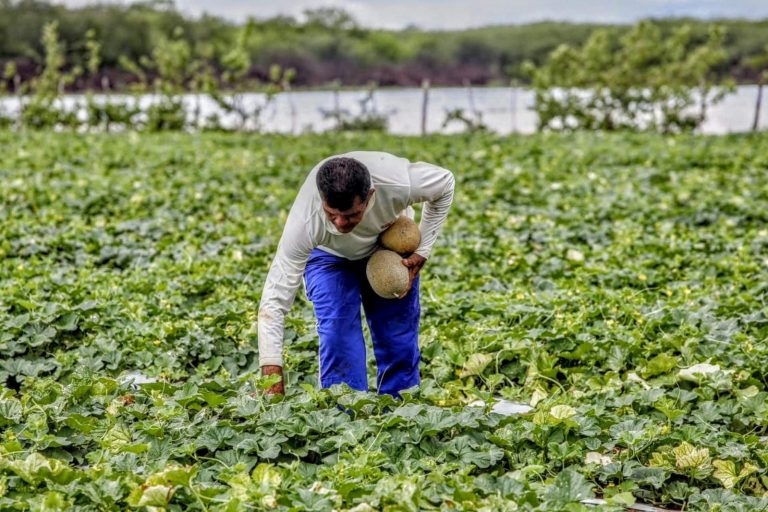 Mais de 63 mil famílias serão beneficiadas por meio do projeto Sertão Vivo Ceará