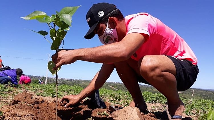 MST inicia 3ª Jornada da Natureza com plantio de 15 toneladas de sementes nativas