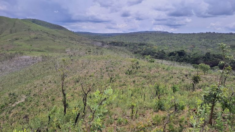 MPF entra com ação contra atividade agropecuária em território Kalunga