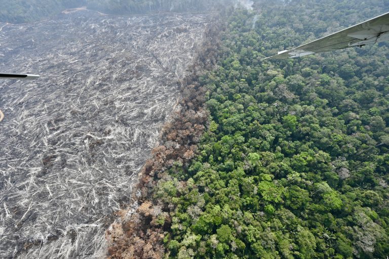 Desmatamento na Amazônia cresce 92% em um ano enquanto PL da Devastação avança no Congresso