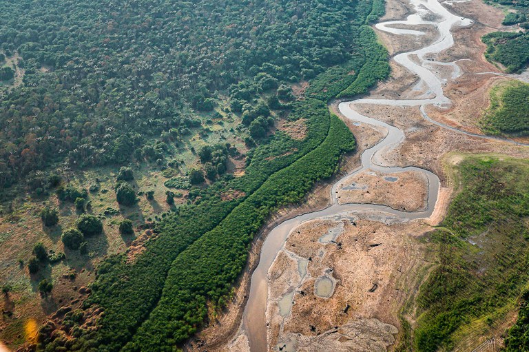 Deforestation drops 20% in Cerrado, rises 4% in Amazon over 12 months