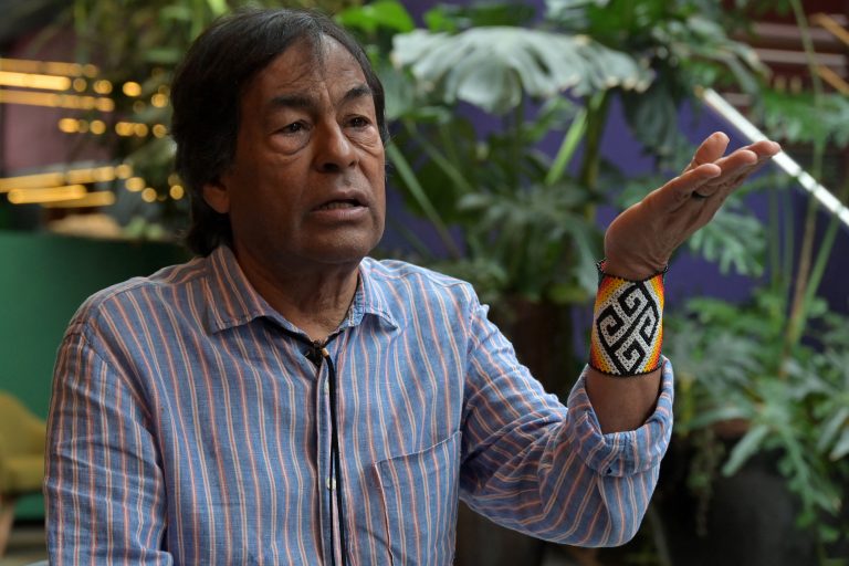 'We can’t be a machine of making things', says indigenous leader Ailton Krenak