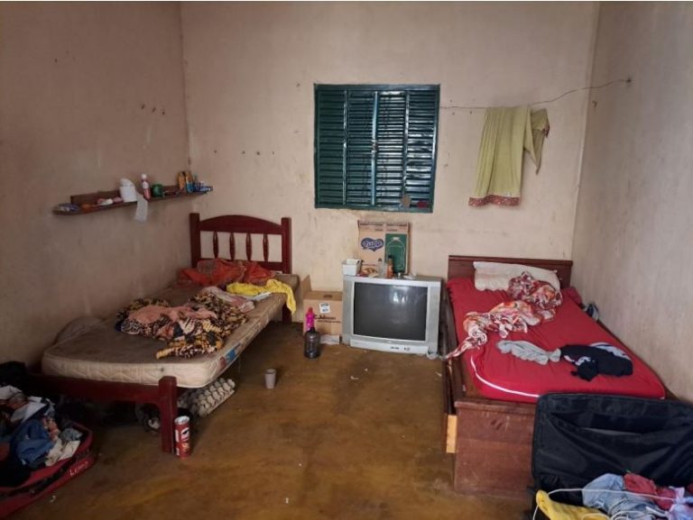 Gigante do setor de ovos e fornecedora do Butantan teve 23 resgatados de trabalho escravo