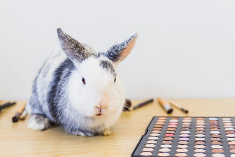 Projeto que proíbe testes em animais para cosméticos avança para sanção presidencial