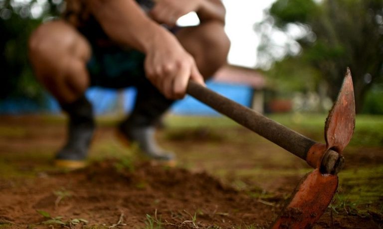 Governo federal barra contrato com comunidade terapêutica na ‘lista suja’ do trabalho escravo