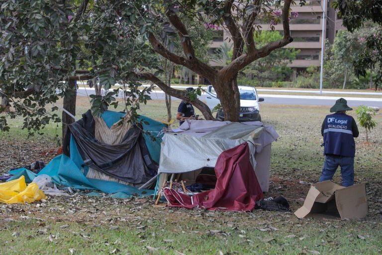 Celina Leão anuncia projeto de internação compulsória para população em situação de rua