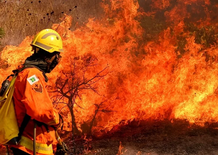 Seca de agosto impulsiona onda de incêndios no DF, com 362 focos em uma semana