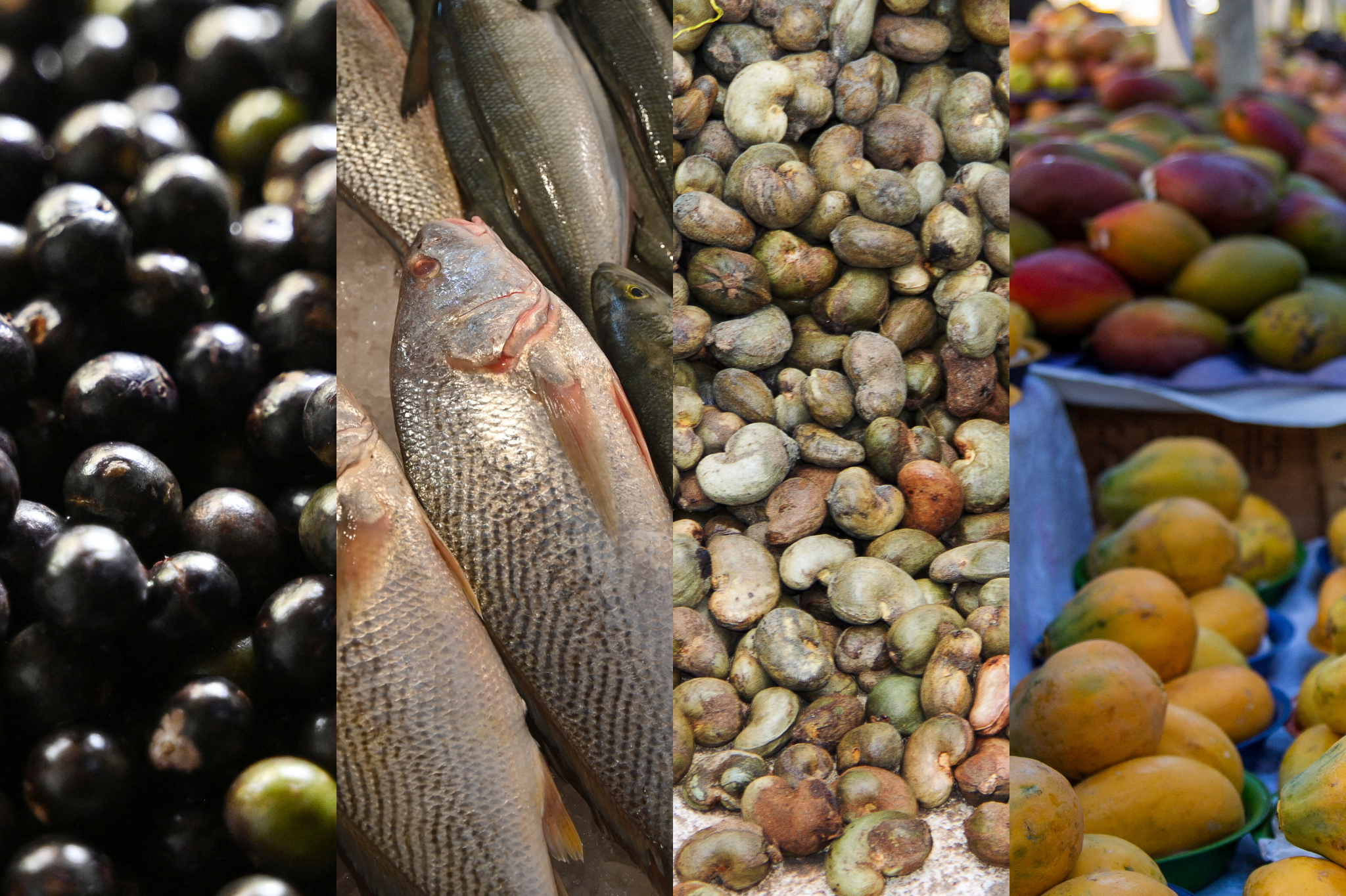 Açaí, frutas, castanha e pescado estão entre os produtos taxados em 50% pelo governo dos Estados Unidos