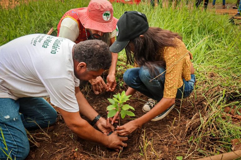 Saiba como o MST está recuperando área degradada de Mata Atlântica em Minas Gerais 
