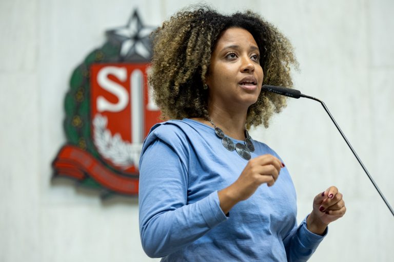 Só pode dar certo com pressão no Congresso, e Plebiscito Popular é essa ousadia, diz deputada