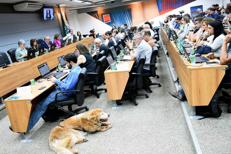 Brazilian university cuts ties with Israel’s Technion: ‘We are against genocide’