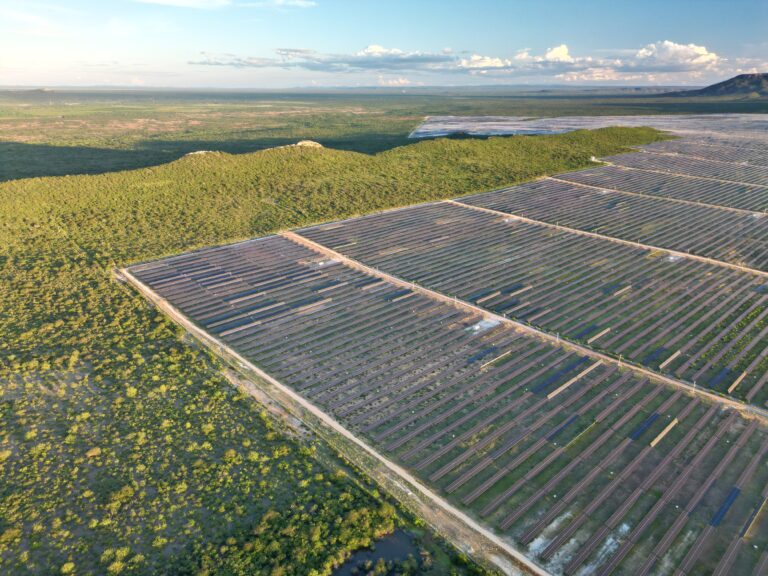 Bahia é o estado do Nordeste que mais perde Caatinga para usinas solares, aponta estudo