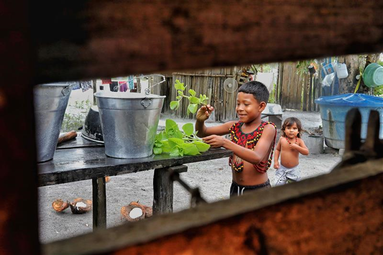 Exposição no Recife exalta povos indígenas e quilombolas de Pernambuco e da Bahia