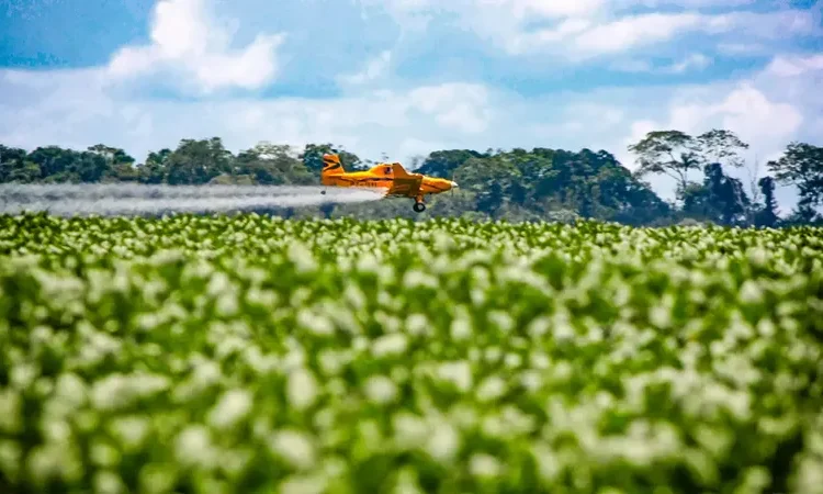 Por que devemos combater o Agronegócio?
