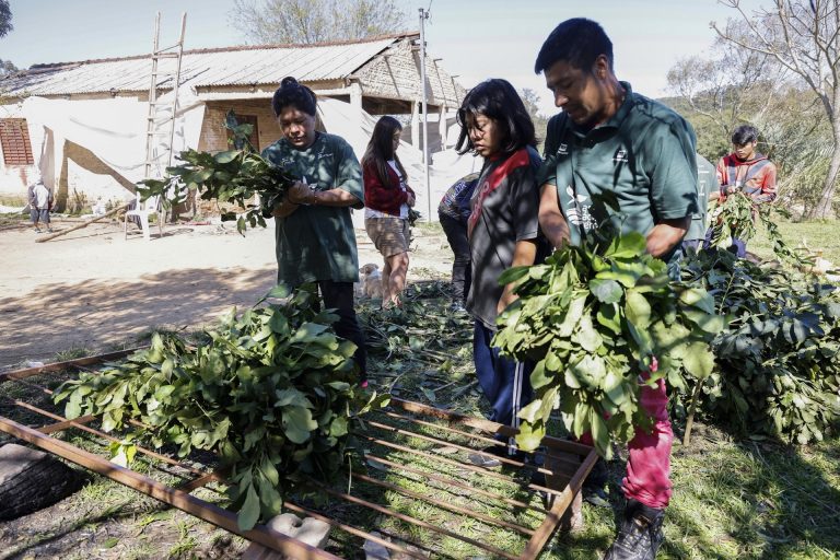 Aldeia Guarani realiza Carijo inédito e resgata a origem do chimarrão em Porto Alegre
