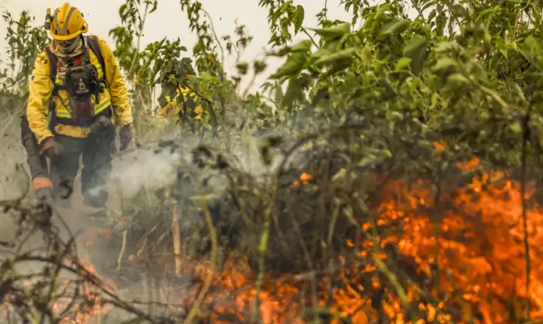 Na Amazônia Legal, apenas 16% dos municípios contam com Corpo de Bombeiros