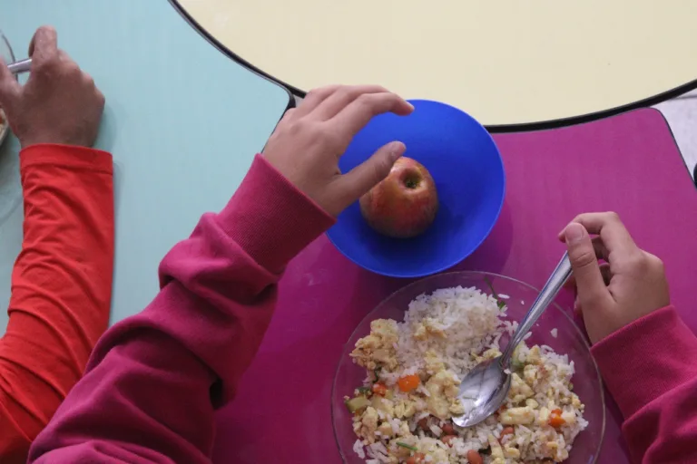 Alimentação escolar: Brasil ainda enfrenta desafio do financiamento, diz estudo