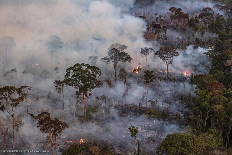 COP30: agro disputará ‘narrativa’ sobre crise climática em Agrizone da Embrapa